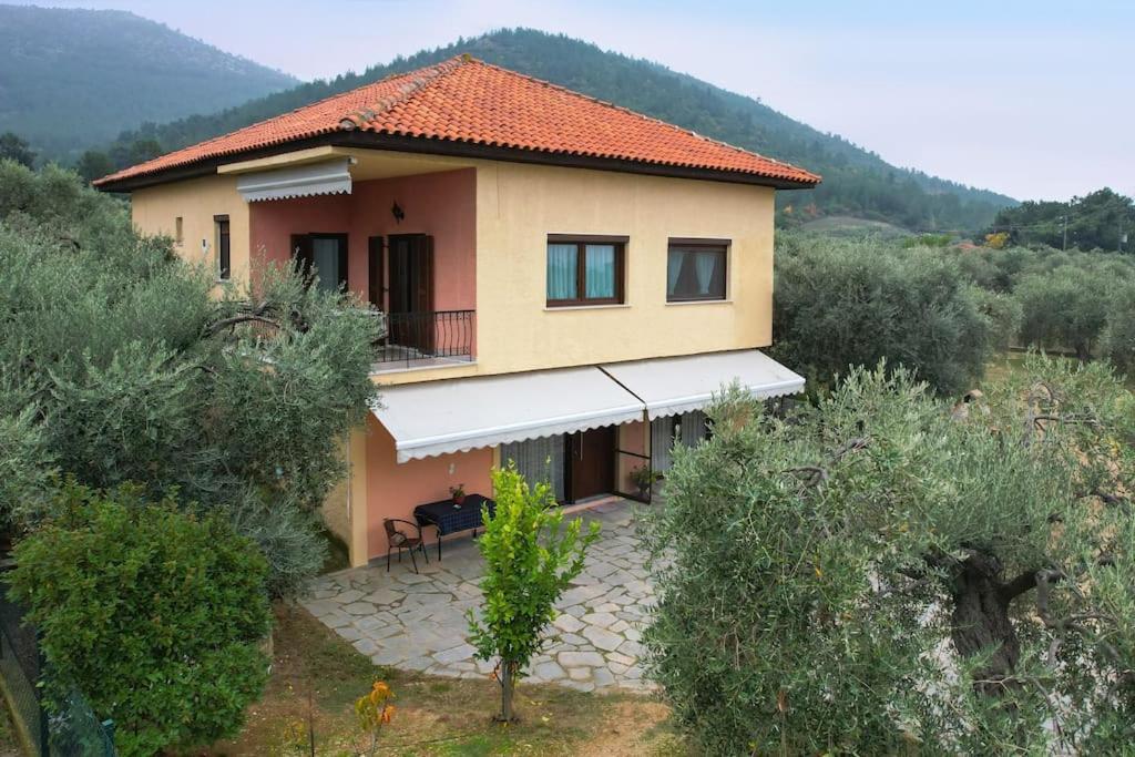 Olive'S House Villa Skala Rachoni  Dış mekan fotoğraf