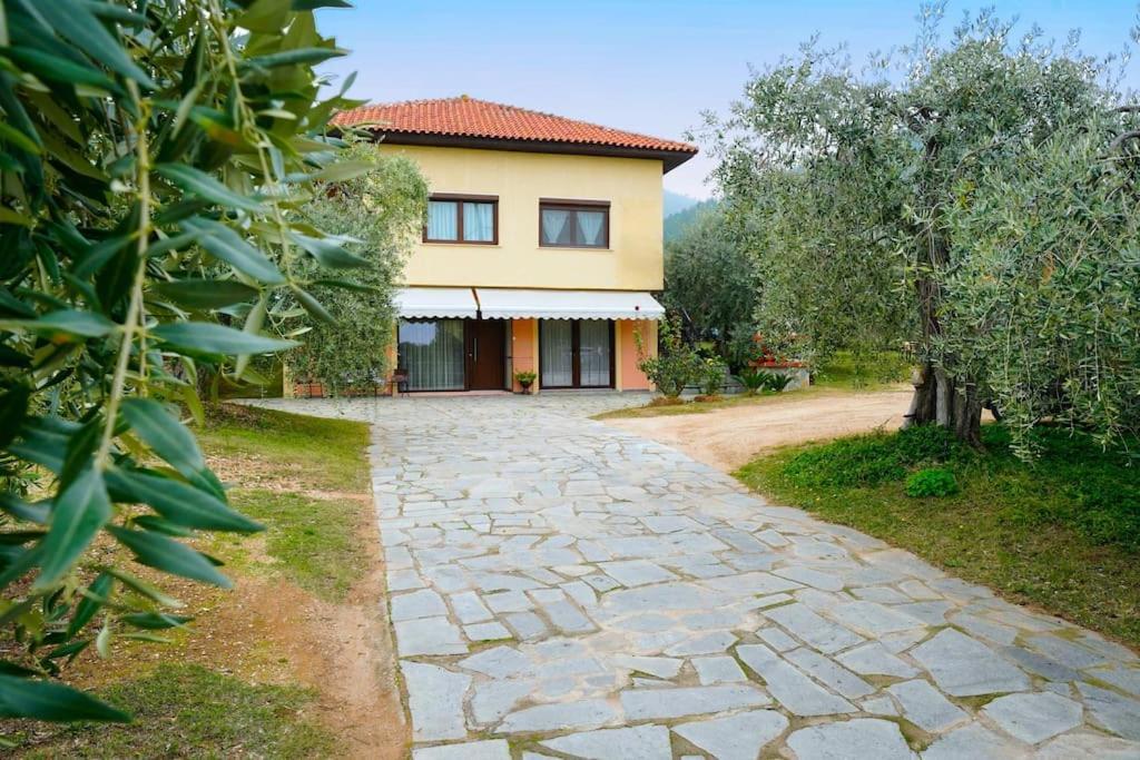 Olive'S House Villa Skala Rachoni  Dış mekan fotoğraf