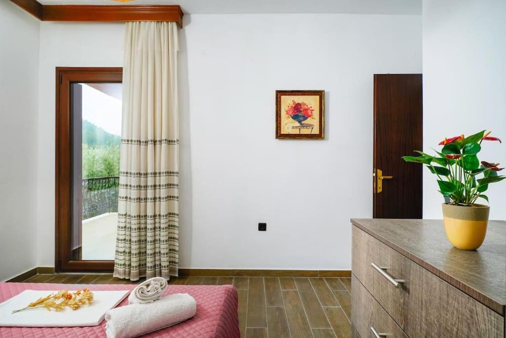 Olive'S House Villa Skala Rachoni  Dış mekan fotoğraf
