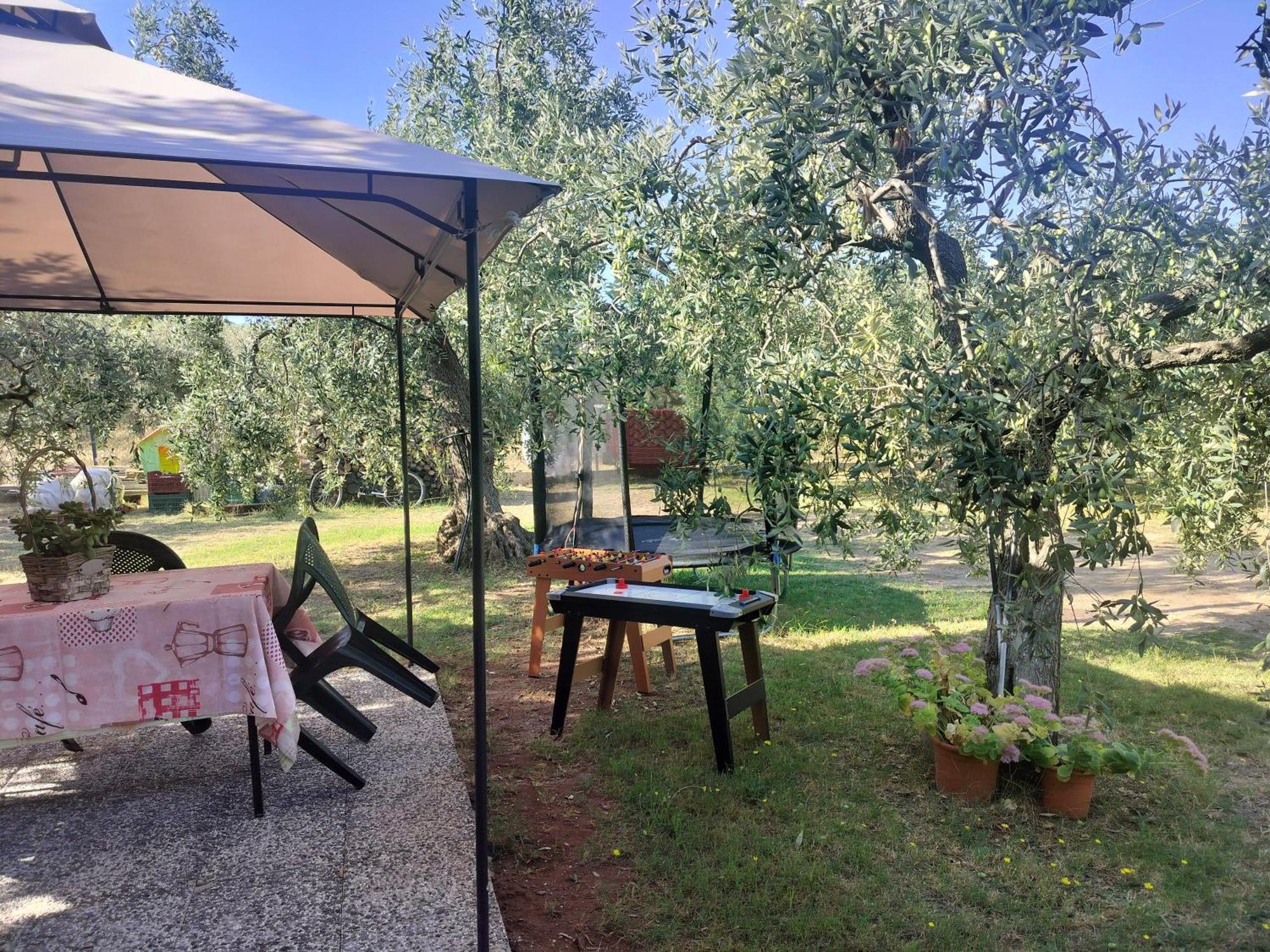 Olive'S House Villa Skala Rachoni  Dış mekan fotoğraf